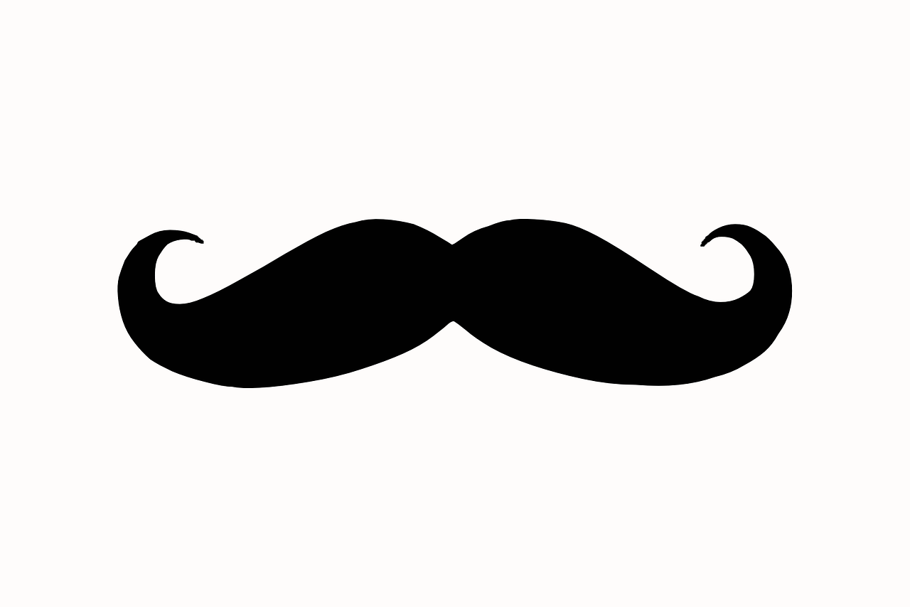 moustache-303571_1280.png